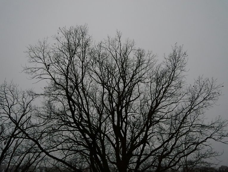 numeric governance framework outline