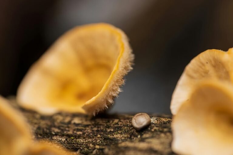 reference number synchronization log